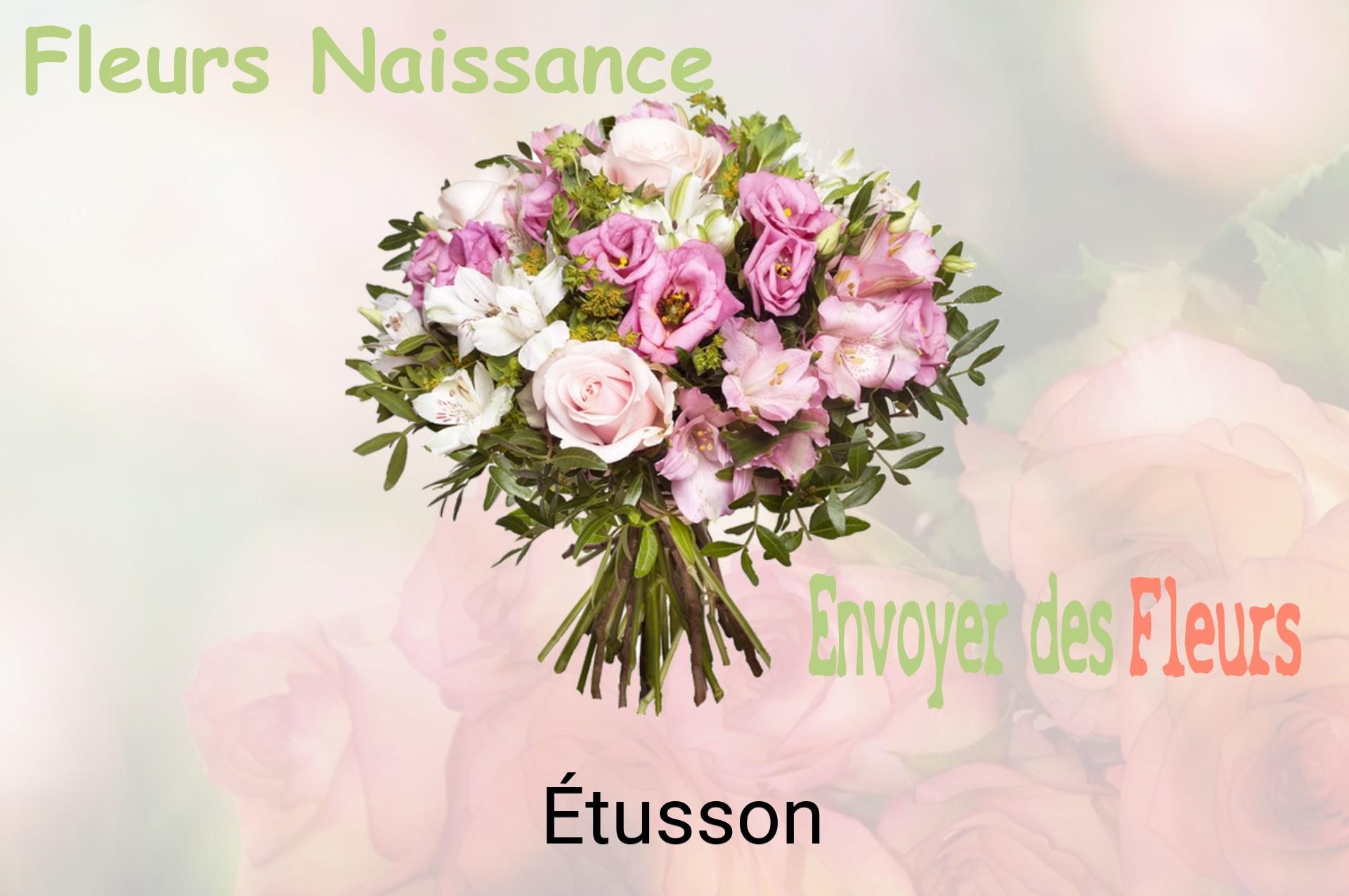 Bouquet de fleurs de naissance livré à Étusson